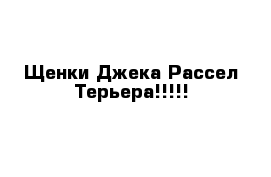 Щенки Джека Рассел Терьера!!!!!